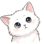 こねこのもも