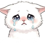 こねこのもも